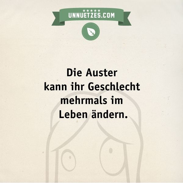 Austern